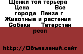 Щенки той терьера › Цена ­ 10 000 - Все города, Пенза г. Животные и растения » Собаки   . Татарстан респ.